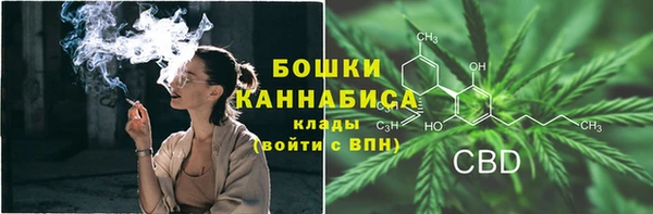 PSILOCYBIN Краснослободск