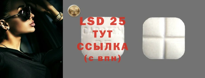 PSILOCYBIN Краснослободск