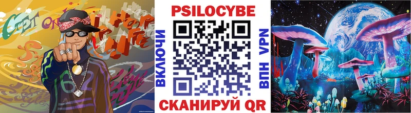 Купить  Судогда  Псилоцибиновые грибы Cubensis 